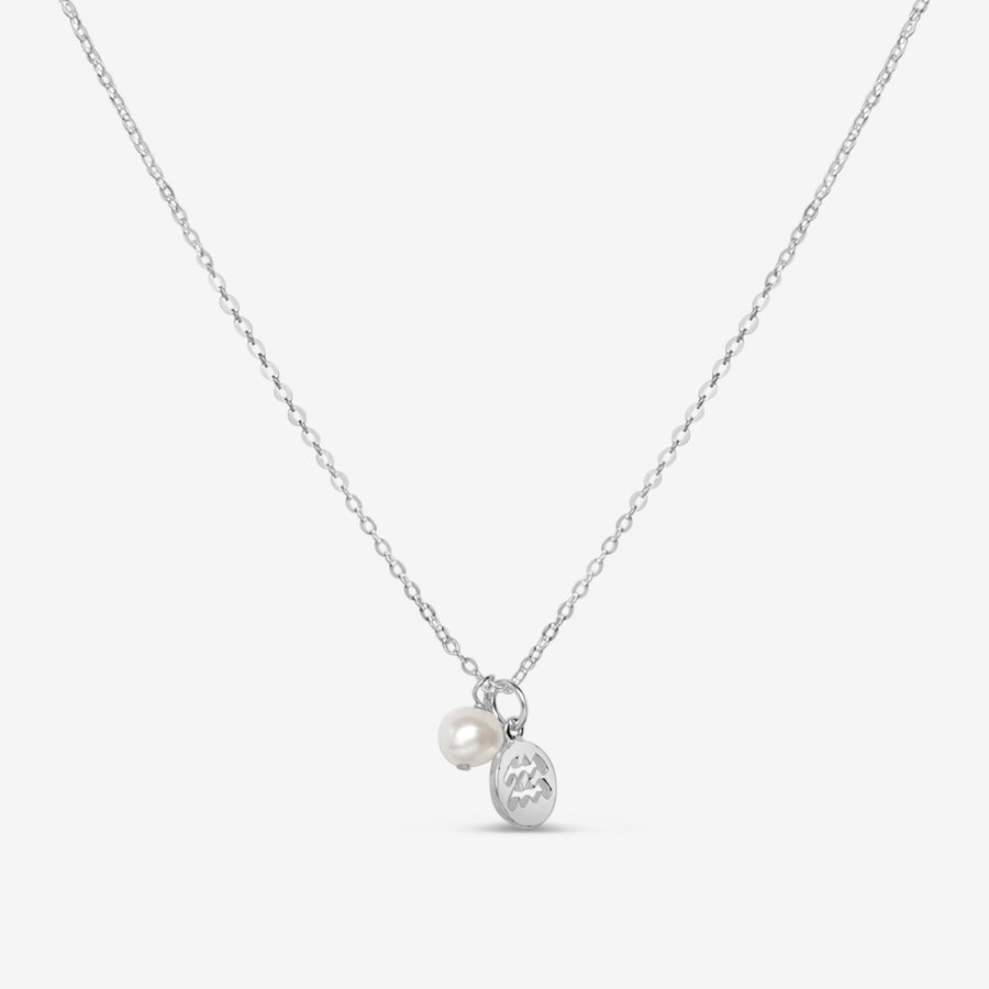 Zodiac | Star Sign Charm Necklace (Silver)